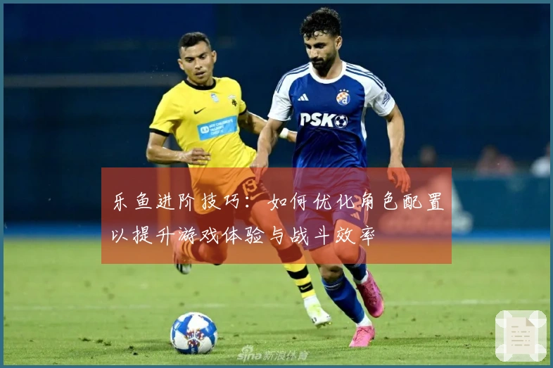 乐鱼进阶技巧：如何优化角色配置以提升游戏体验与战斗效率