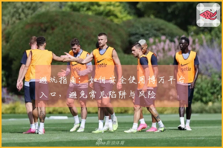 避坑指南：如何安全使用博万平台入口，避免常见陷阱与风险